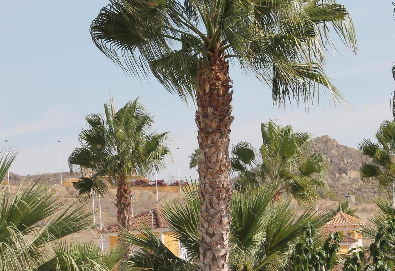 Villa Capricho Mazarrón Dış mekan fotoğraf